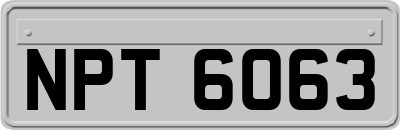NPT6063
