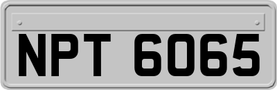 NPT6065