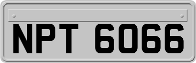 NPT6066