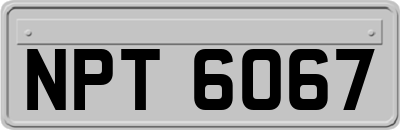 NPT6067