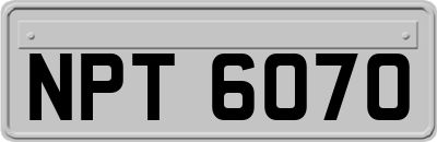 NPT6070