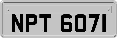 NPT6071