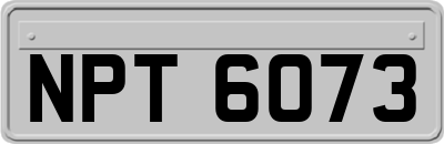 NPT6073