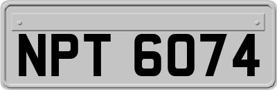 NPT6074