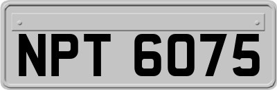 NPT6075