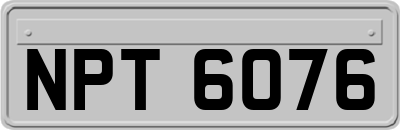NPT6076