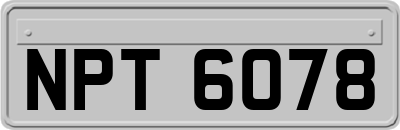 NPT6078