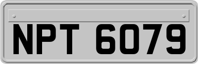 NPT6079