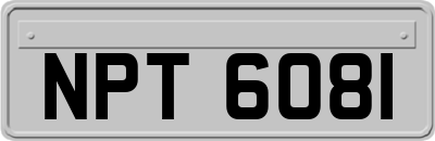 NPT6081