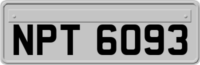 NPT6093
