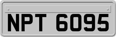 NPT6095