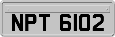 NPT6102