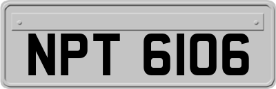 NPT6106