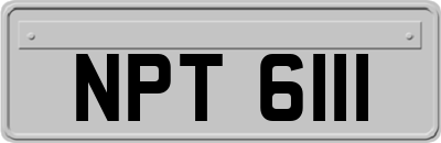 NPT6111