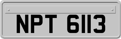 NPT6113