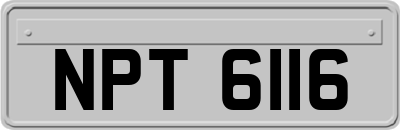 NPT6116
