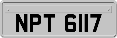 NPT6117