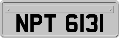 NPT6131