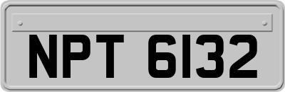NPT6132