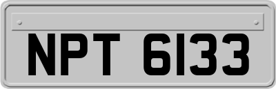 NPT6133