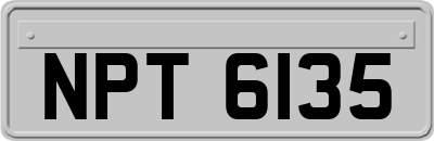 NPT6135
