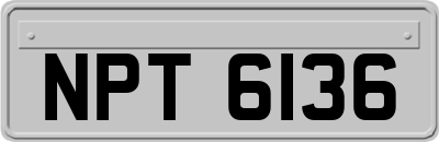 NPT6136