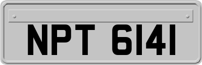 NPT6141