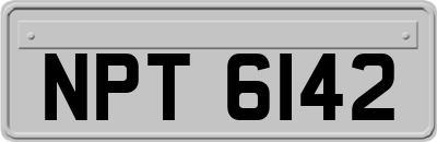 NPT6142