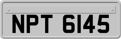 NPT6145