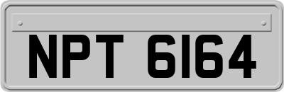 NPT6164