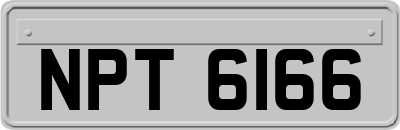 NPT6166