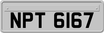 NPT6167