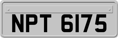 NPT6175