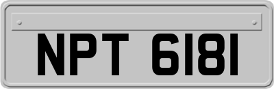 NPT6181