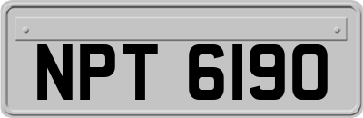 NPT6190