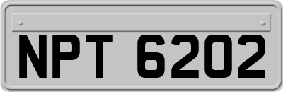 NPT6202