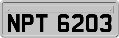 NPT6203