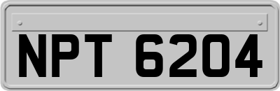 NPT6204