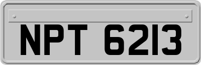 NPT6213