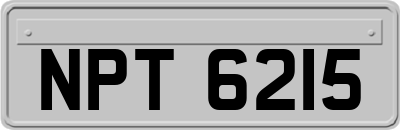 NPT6215