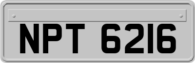 NPT6216
