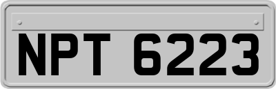 NPT6223