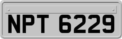 NPT6229