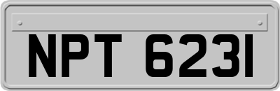NPT6231