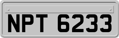NPT6233