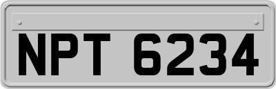 NPT6234