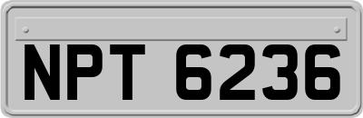 NPT6236