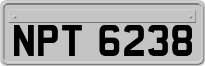NPT6238