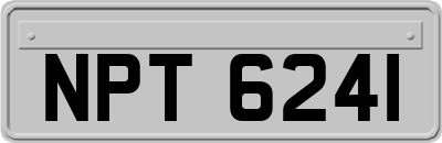 NPT6241