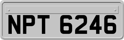 NPT6246